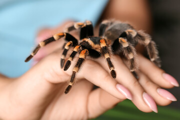 Woman with scary tarantula spider, closeup