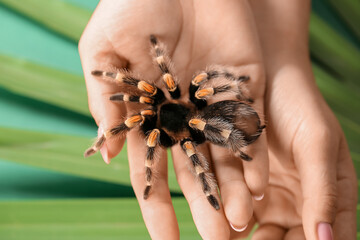 Woman with scary tarantula spider, closeup