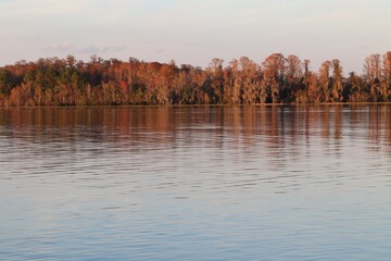 lake in autumn