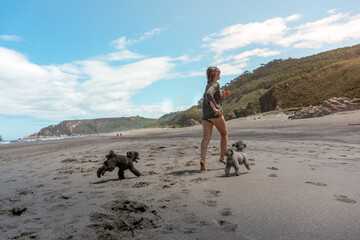 En la playa con perros