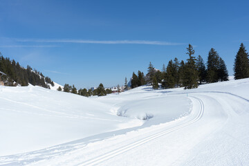 Flumserberg, Skiers, snowboarders, carvers, families all enjoy their time on the ski runs of winter...