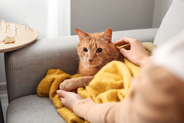 Cute ginger cat with warm plaid and owner at home on autumn day