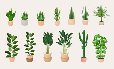 Collection of indoor plants in pots for decorating the interior. Set of vector illustrations of home flowers. Trendy home decor with plants, urban jungle.