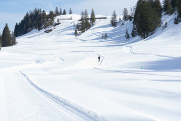 Wide pistes, huge halfpipes, endless deep snow – all within quick and easy reach. Switzerland is...