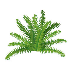 Naklejka premium Houseplant fern, nephrolepis for interior decoration. Vector illustration of home flowers. Trendy home decor with plants, urban jungle.