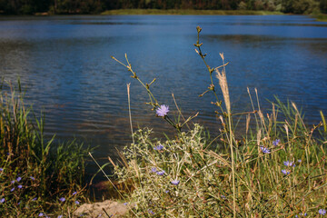 Beautiful lake in the Crimean mountains among greenery and flowers