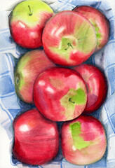Watercolor pencil illustration of some red juicy apples 
on a blue checkered cloth
