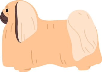 Pekingese or Chinese Spaniel Dog Breed Illustration