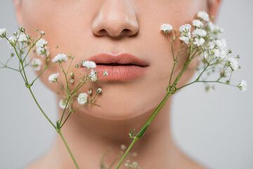 close up view of cropped female face near white gypsophila flowers isolated on grey.