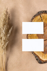 empty white business card mock up on wooden cut tree section with dry spikelets on beige background