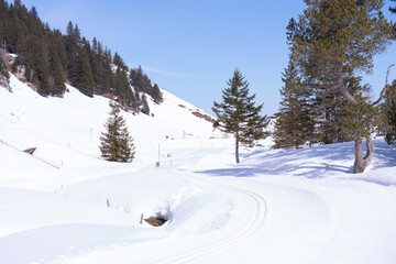 Welcome to high alpine snow capital, Winter in the Saas Valley,
Activities for young and old, snow sports enthusiasts, adventurers, pleasure-seekers and all those who appreciate and love nature.. Zug