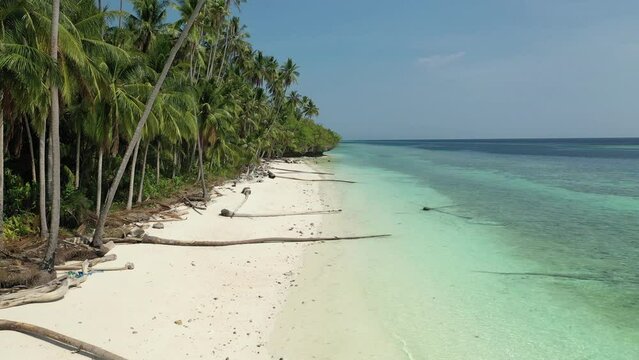 Drone view of a person walking on a peaceful tropical beach surrounded by palm trees and turquoise Waters