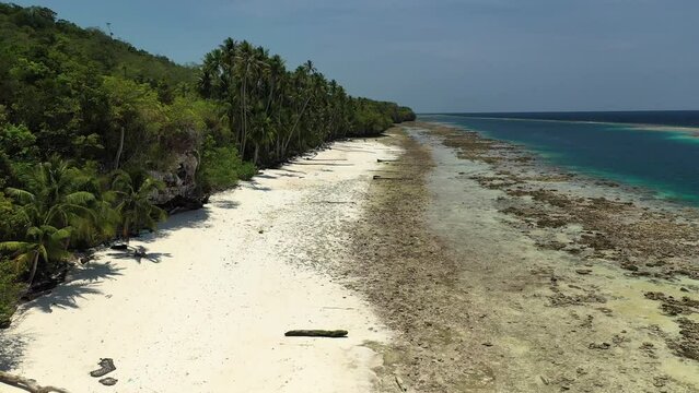 Drone footage of a tropical and peaceful beach with palm trees, coral reef on a low tide
