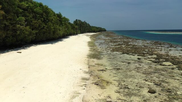 Drone moving forward on a tropical and peaceful beach with palm trees and coral reef on a low tide