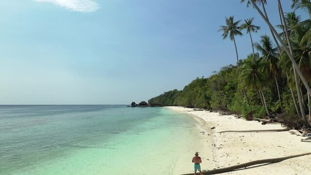 Drone footage of a person walking on a peaceful tropical beach surrounded by palm trees and turquoise waters