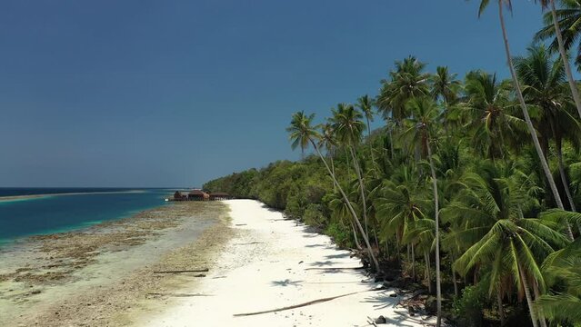 Drone footage of a tropical and peaceful beach with palm trees, coral reef and a dock on site