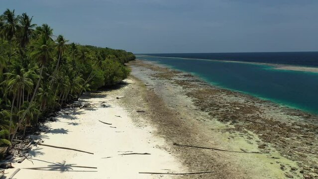 Drone view of a tropical and peaceful beach with palm trees and coral reef on a low tide