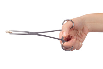 A woman's hand holds a child's molar tooth in a clamp. Studio photo isolated on white background.