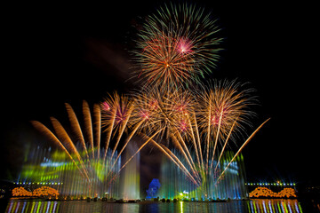 Beautiful fireworks in the night sky.