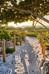 Strandzugang durch die Dünen im Hochformat (Captiva, Florida, USA)