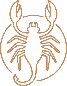recommend clip art: Scorpio Zodiac Sign Line Art Illustration