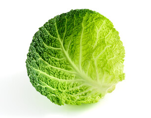 cabbage leaf isolated