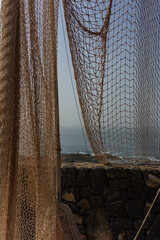 Mesh with the coast in the background