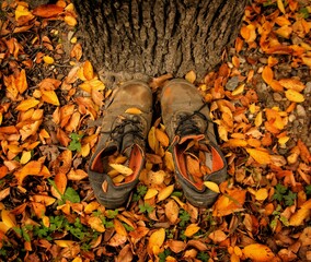 Старые ботинки в парке осенью