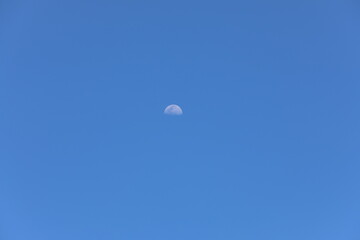blue sky and moon