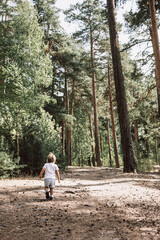 Fototapeta premium Happy cute toddler boy walking along path in summer park. Tiny kid in vast pine forest. Rear view of child outing on path in green woods.