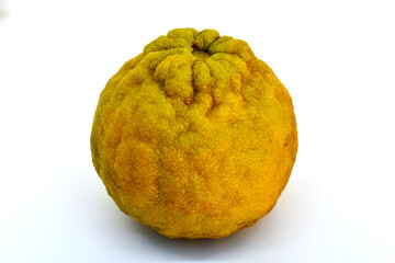 A large, appetizing yellow lemon is placed on a white background.