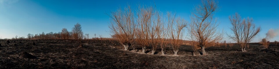 Panorama of the fire-scorched landscape, the consequences of hostilities