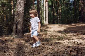 Happy cute toddler boy in t-shirt and shorts walking along path in summer park. Little kid outing on path in pine forest. Hyper-local travel concept. Active lifestyle. Child having fun in green woods.