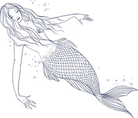 Mermaid Mythical Creature Hand Drawn Contour Illustration