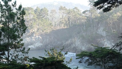 Rock, crag or cliff, ocean waves in cove crashing, sea water splashing. Big Sur, 17-mile drive, Point Lobos state park seascape, Monterey, California coast USA. Coniferous pine cypress forest or grove