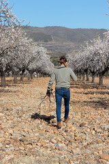 Man walking and collecting firewood in the field with axe in shoulder