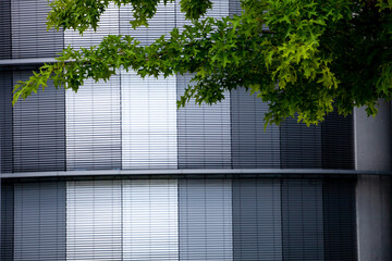 Modern metal constructed building with green branch of tree