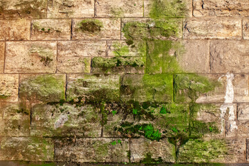 Stones wall of old fortress covered by green moss