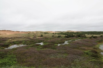 landscape with clouds