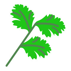 Raw Coriander with leaves Concept, fresh culantro vector color icon design, Condiments and Spices symbol, Food cooking ingredients Sign, Herbs and table sauce stock illustration