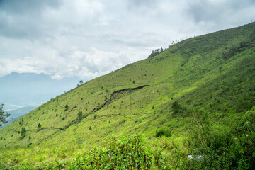 The vast green meadow above the mountains