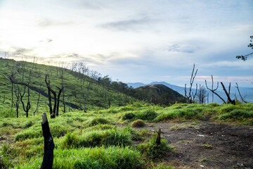 View of Indonesia's mountains with wide green grass