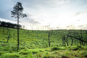 Naklejka premium The vast green meadow above the mountains