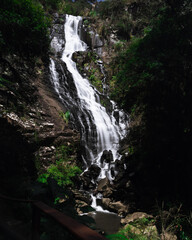 waterfall in the forest