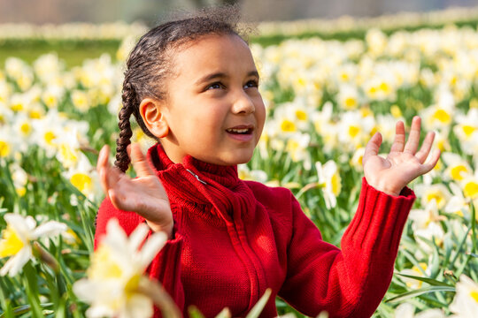 African American mixed race girl sitting playing in a field of daffodils