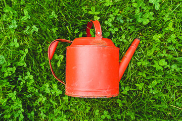Closeup of a red watering can in clover