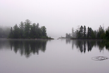 Fototapeta na wymiar silhouette of trees on lake in heavy fog with copy space