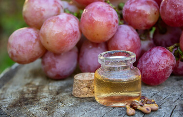 Grape seed oil in a glass jar and fresh grapes for spa and body care. The concept of spa, bio, eco products.