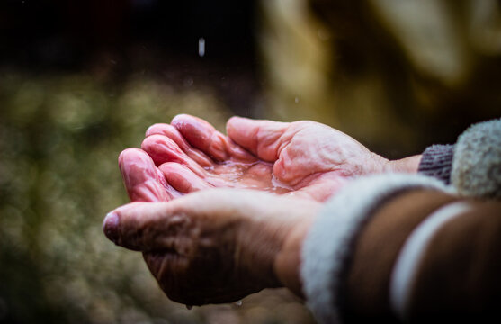 Hands Of An Elderly Person Catching The Rain