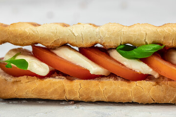 panini caprese with tomato, mozzarella and basil, Caprese Panini Sandwich. Delicious breakfast or snack, Clean eating, dieting, vegan food concept